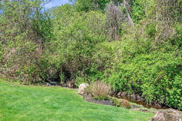 view of green lawn