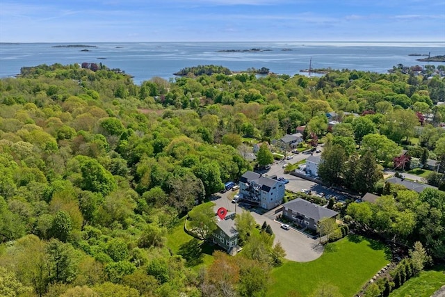 aerial view of a large body of water and a heavily wooded area