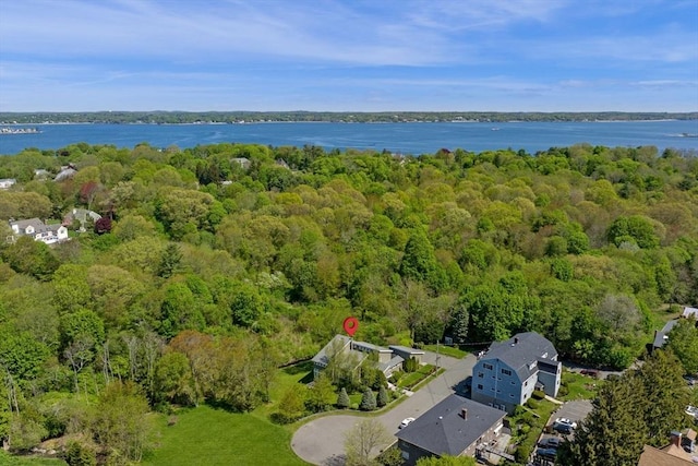 bird's eye view of a forest and a large body of water