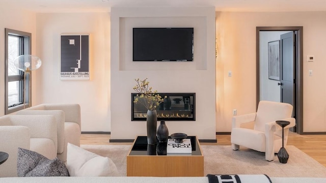 living room featuring light hardwood / wood-style flooring