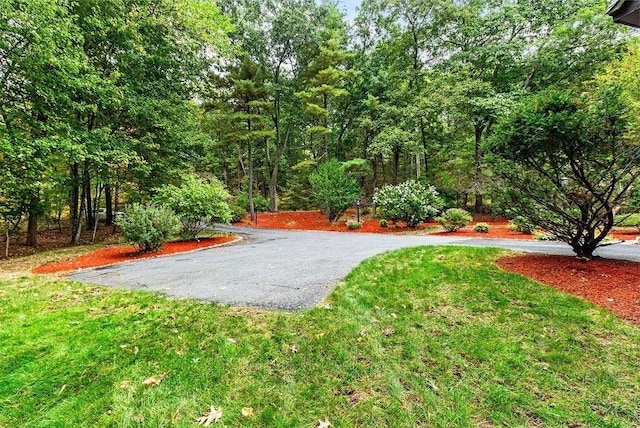 view of home's community featuring a lawn