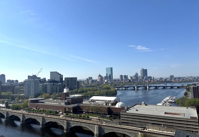 water view with a notable bridge and a skyline view