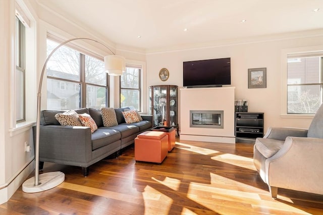 living room featuring a glass covered fireplace, wood finished floors, and ornamental molding