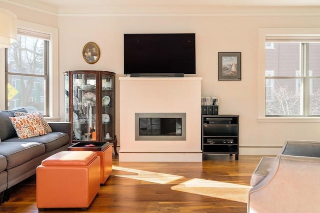 living room featuring a glass covered fireplace, crown molding, wood finished floors, and baseboards