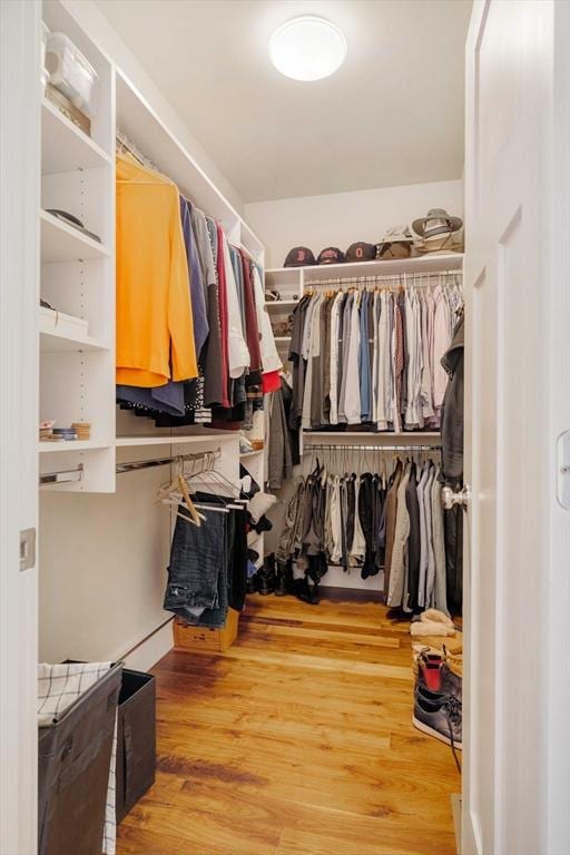 walk in closet featuring wood finished floors