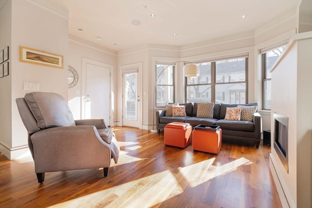 living area featuring crown molding, baseboards, and wood finished floors