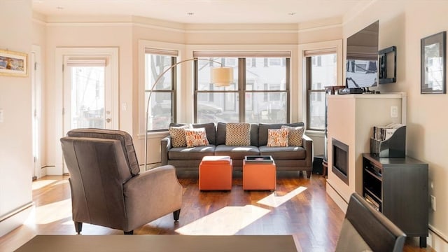 living area featuring wood finished floors