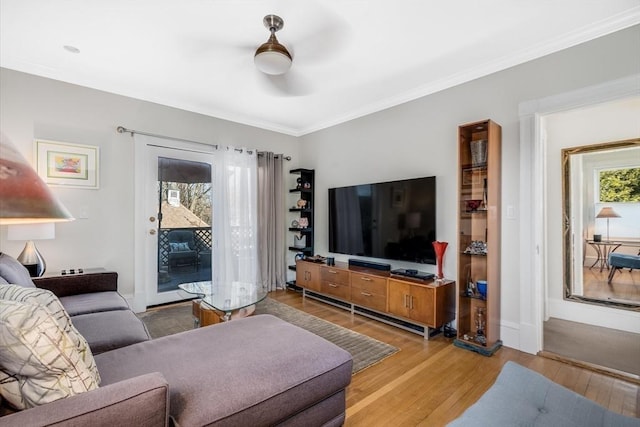 living room featuring ceiling fan, crown molding, and light hardwood / wood-style flooring