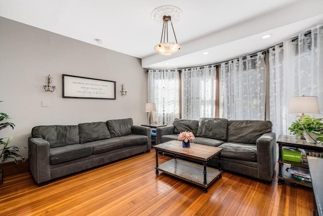 living room featuring wood-type flooring