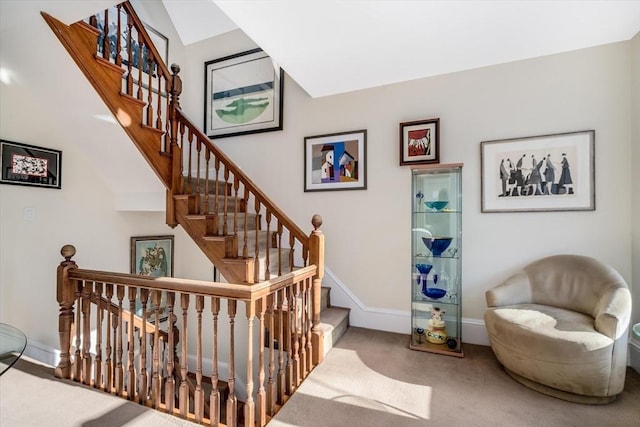 stairs featuring carpet floors