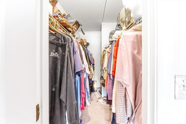 walk in closet featuring carpet flooring