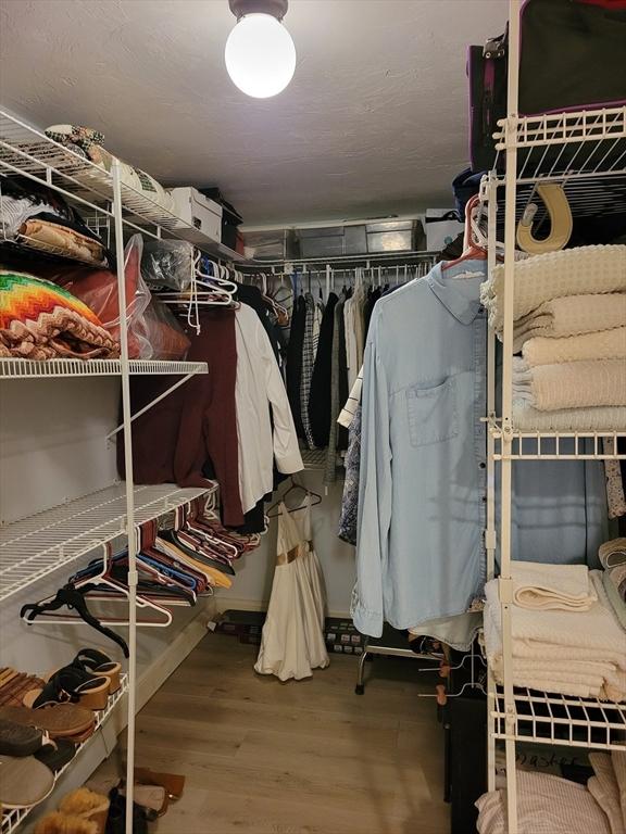 spacious closet with hardwood / wood-style floors