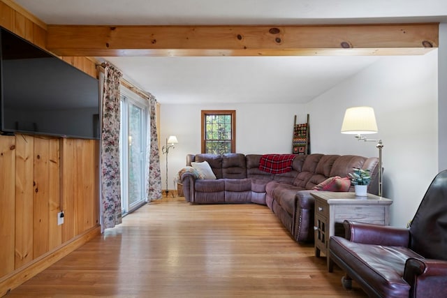 living room featuring light hardwood / wood-style flooring