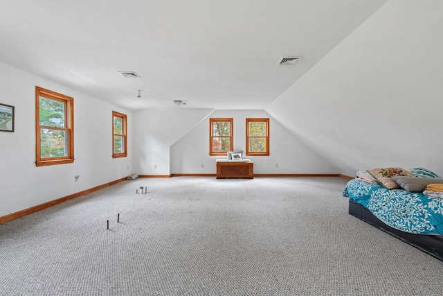 additional living space with carpet, plenty of natural light, and lofted ceiling