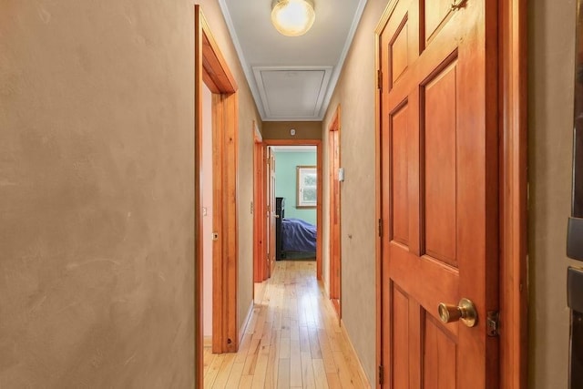 hall with light wood finished floors, attic access, and crown molding