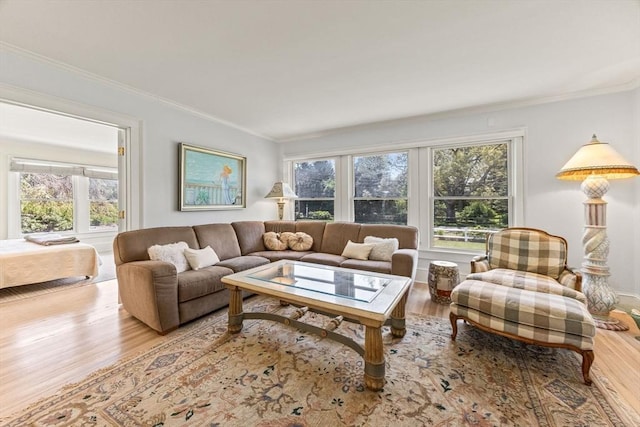 living area featuring wood finished floors, ornamental molding, and plenty of natural light