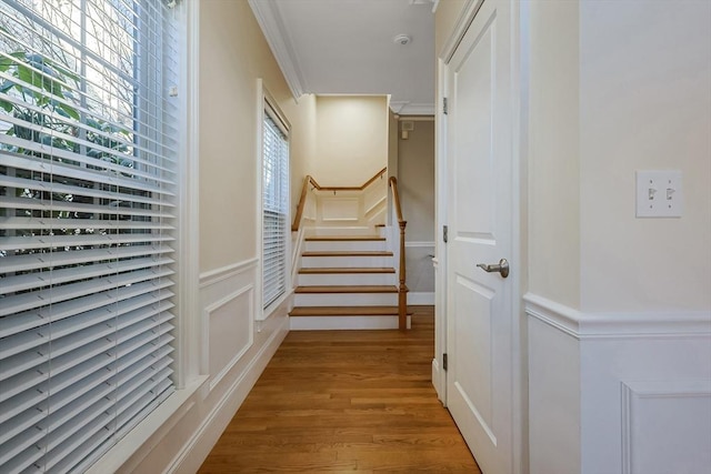 hallway with light hardwood / wood-style flooring and ornamental molding