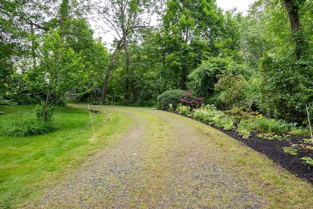 46 Plum St, Hamilton, MA 01982 - view of road