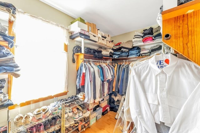 spacious closet featuring wood finished floors