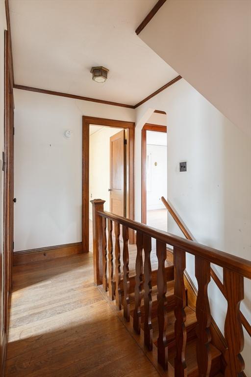 hallway featuring crown molding and light wood-type flooring