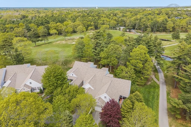 13 Laurel Hill Ct Unit 13, Bourne, MA 02532 - bird's eye view of a forest