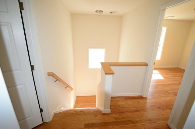 staircase with wood-type flooring