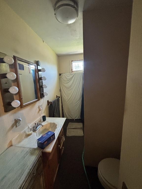 bathroom with toilet and vanity