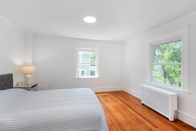 8 Carisbrooke St, Andover, MA 01810 - bedroom with multiple windows, radiator, light wood finished floors, and ornamental molding
