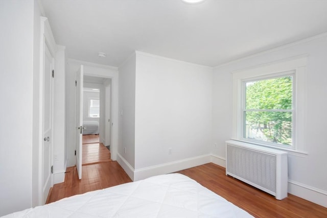 8 Carisbrooke St, Andover, MA 01810 - bedroom with radiator heating unit, wood finished floors, multiple windows, and crown molding