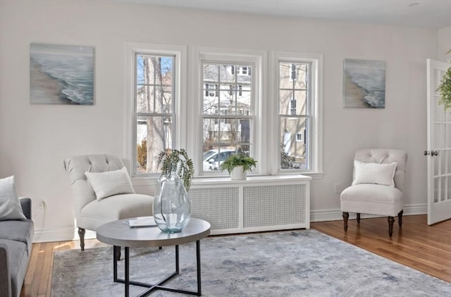 living area featuring baseboards, radiator, and wood finished floors