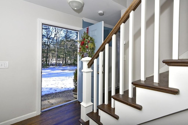 foyer entrance featuring dark hardwood / wood-style flooring