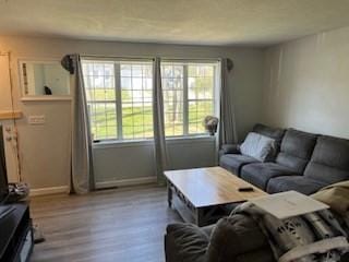 17 Ebenezer Rd, Barnstable, MA 02655 - living area featuring wood finished floors, a wealth of natural light, and baseboards