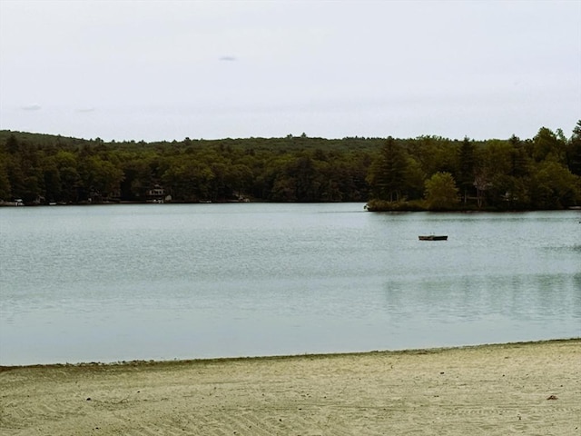 26 Horseshoe Cir, Ware, MA 01082 - water view with a heavily wooded area