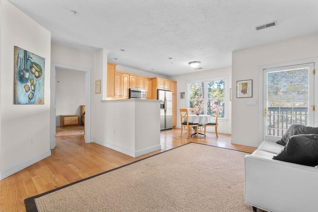 living room with light hardwood / wood-style flooring