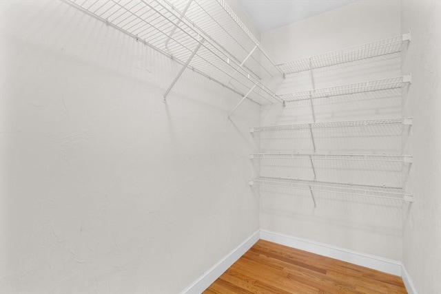 spacious closet with hardwood / wood-style floors