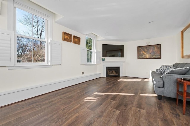 living room with a fireplace, wood finished floors, and a baseboard radiator