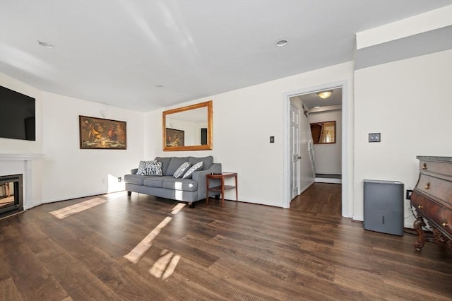 living area with a glass covered fireplace, wood finished floors, and a baseboard heating unit