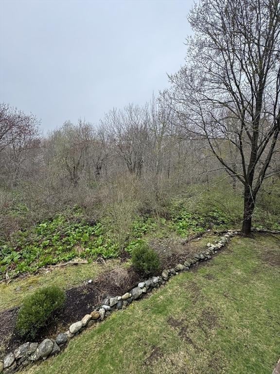 view of yard with a forest view
