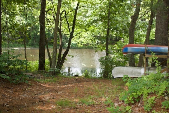 view of water feature