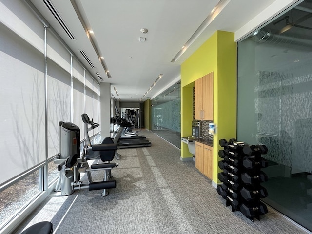 exercise room featuring carpet flooring