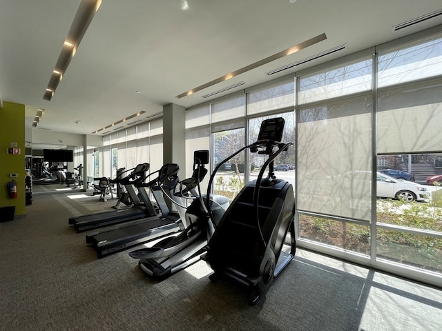 gym with expansive windows, carpet, and a healthy amount of sunlight