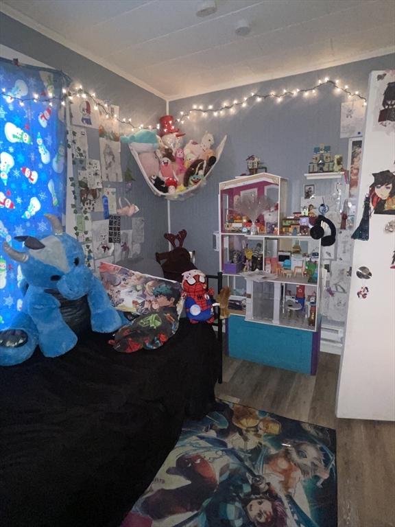 bedroom featuring wood-type flooring