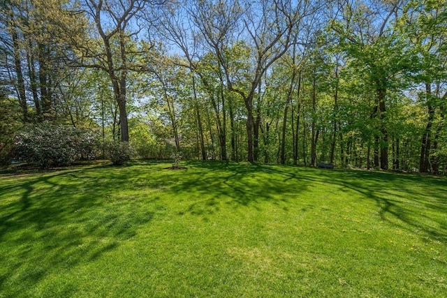 view of grassy yard