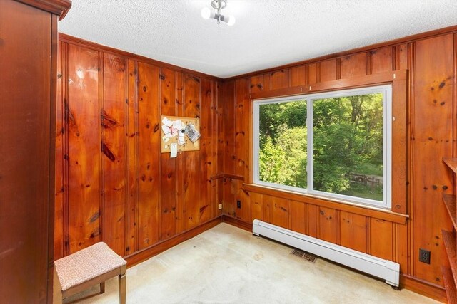 209 S St, Wrentham, MA 02093 - spare room featuring baseboard heating, a textured ceiling, light carpet, and wooden walls