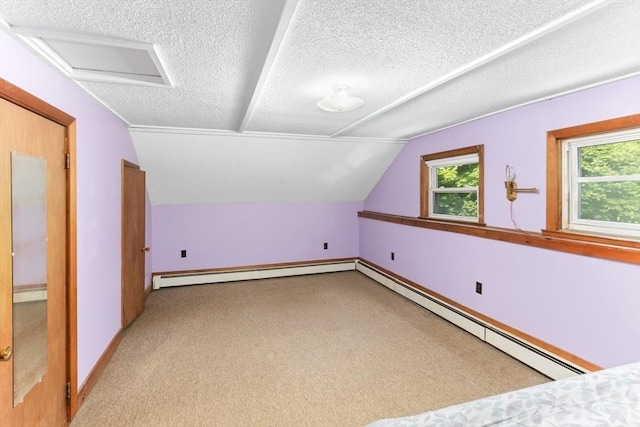 209 S St, Wrentham, MA 02093 - additional living space featuring a baseboard heating unit, plenty of natural light, a textured ceiling, lofted ceiling, and carpet floors