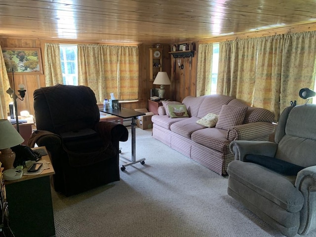 293 Washington, Warren, MA 01083 - carpeted living area with plenty of natural light and wooden ceiling