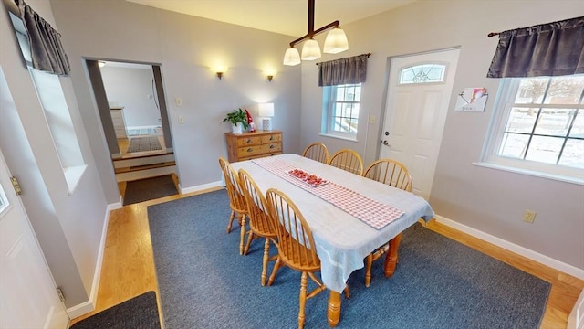 dining space with hardwood / wood-style flooring