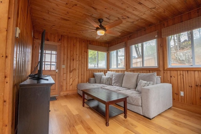 living area with wooden walls, a ceiling fan, wood ceiling, and light wood finished floors