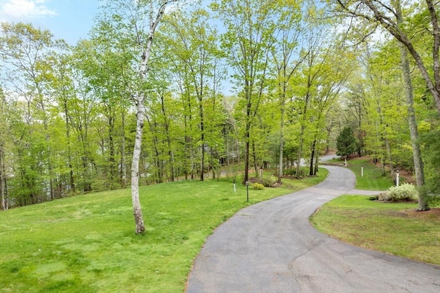 surrounding community featuring a yard and asphalt driveway