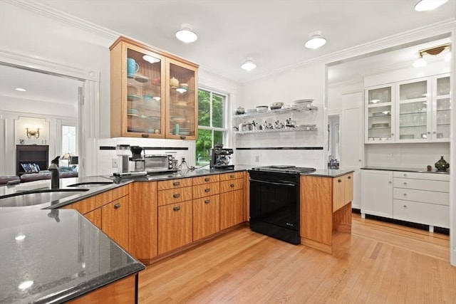 210 Melrose St, Newton, MA 02466 - kitchen featuring black range oven, a sink, light wood finished floors, tasteful backsplash, and a peninsula